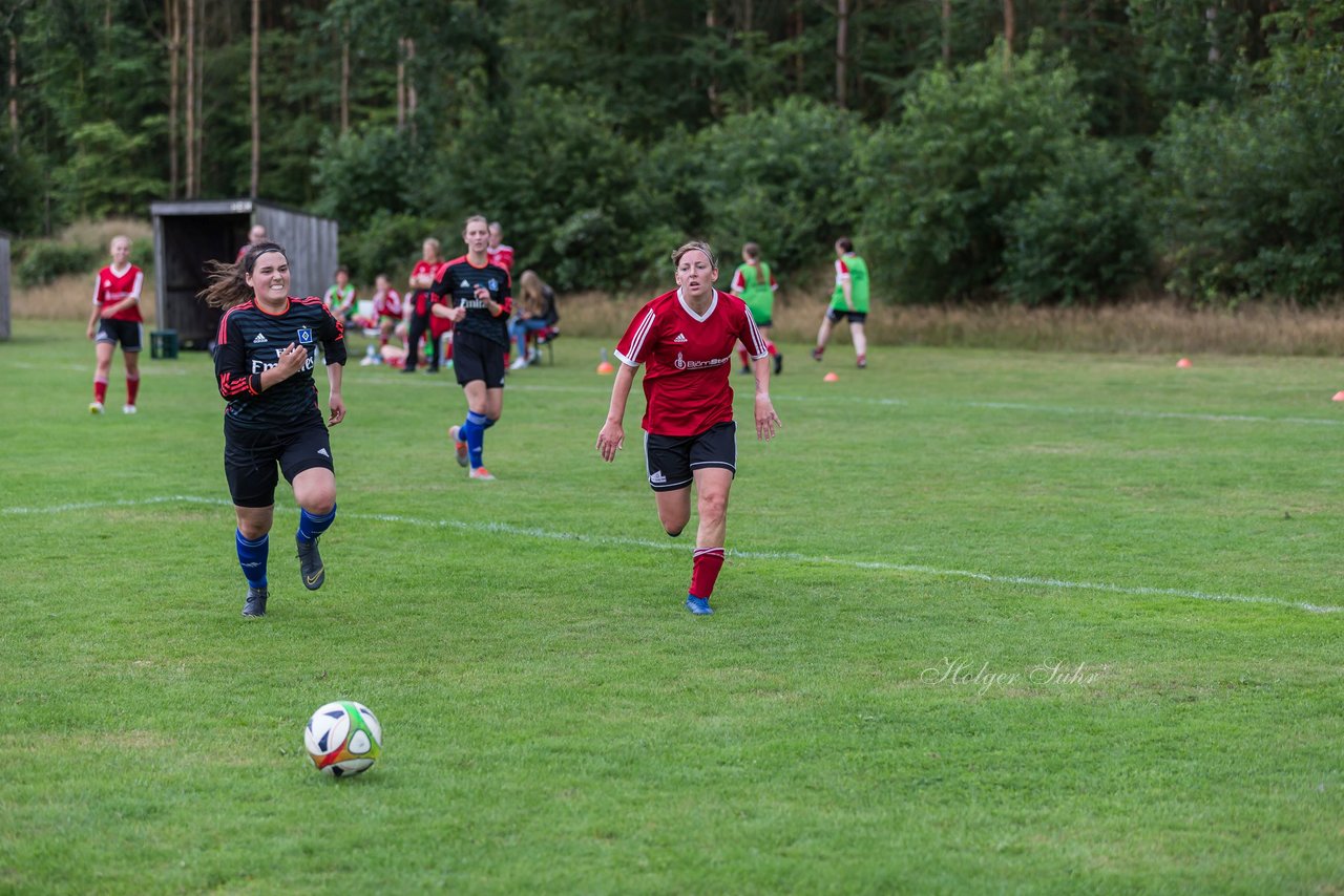 Bild 258 - Frauen SG NieBar - HSV 2 : Ergebnis: 4:3